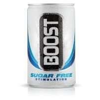 24 X BOOST CAN SUGAR FREE 250ml | 24 PACK BUNDLE