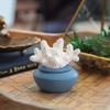 Porcelain Coral Essential Oils Diffuser Aromatherapy Airom view 3