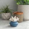 Porcelain Coral Essential Oils Diffuser Aromatherapy Airom view 4