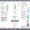 Cytoplan Organic Whole Garlic Powder 400mg Capsules 60 Optimal Absorption British Developed Scientifically Formulated view 2