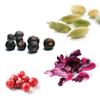 Carmencita Gin Botanicals and Infusions Kit - Gin Spices with Juniper, Cardamom, Pink Peppercorn and Hibiscus Blend, Craft Your Own Artisanal G&T with Natural Spices and Flowers - 16g view 3
