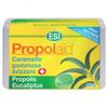 Esi Propolaid Candy Chewy Swiss + Propolis Eucalyptus Sugar Free 50g view 1