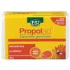 Online Winter Protection PropolAid Swiss Chewy Candies 50g Honey view 1