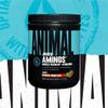 ANIMAL Juiced Aminos Strawberry Limeade  EAA & BCAA Powder for Muscle Regeneration & Recovery  Caffeine-Free Amino Acid Supplement for Fitness, Bodybuilding & Intensive Training, 378 g view 2