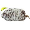 Saucisson view 1