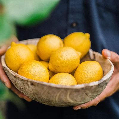 Luscombe Drinks | Sicilian Lemonade - organic | 24 x 270ml