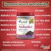 Ashoka Powder view 3
