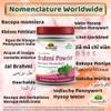 Brahmi Powder view 3