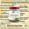 Bitter Gourd (Karela) Powder view 3