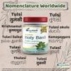 Holy Basil (Tulsi) Powder view 4