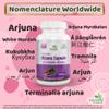 Ayushya Arjuna Capsule, 60 Capsules, Natural view 3