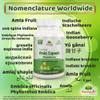 Amla Fruit (Gooseberry) Capsule view 3