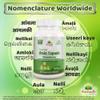 Amla Fruit (Gooseberry) Capsule view 4