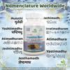 Ayushya Liquorice Root Capsule (Yastimadhu - Mulethi - Jethimadh), 60 Capsules, Natural view 4