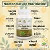 Bitter Gourd (Karela) Capsule view 4