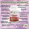 Ashwagandha Capsule view 3