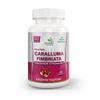 Ayushya Caralluma Fimbriata Capsule, Natural, 60 Count (Pack of 1) view 1