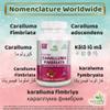 Ayushya Caralluma Fimbriata Capsule, Natural, 60 Count (Pack of 1) view 3