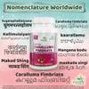 Ayushya Caralluma Fimbriata Capsule, Natural, 60 Count (Pack of 1) view 4