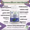 Ayushya Cissus Quadrangularis (Hadjod) Capsule, 60 Capsules, Natural view 2