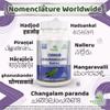 Ayushya Cissus Quadrangularis (Hadjod) Capsule, 60 Capsules, Natural view 3