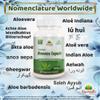 Aloe Vera Capsule view 3