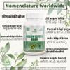 Green Coffee Bean Capsule view 4