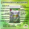 Amla Fruit (Gooseberry) Candy 500grm view 2