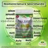 Amla Fruit (Gooseberry) Candy 500grm view 3