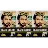 3 x Bigen Men's Beard Colour | No Ammonia Formula with Aloe Extract & Olive Oil | Covers Gray Hair, Leaves No Stains, Long-Lasting Results | 102 Brown Black view 1