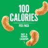 Emerald Nuts, Salt and Pepper Cashews 100 Calorie Packs, 7 Count Box view 4
