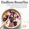 Cultures for Health Vegan Yogurt Starter Culture | Non-GMO, Gluten Free, Non-Dairy, DIY | Make Delicious Batches of High-Quality Probiotic-Dense Plain Vegan Yogurt | 4 Packets view 4