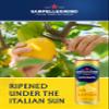 San Pellegrino Italian Sparkling Drinks Tastefully Light Sparkling Lemon Canned Soft Drink 6 x 330ml | 73k Cals per Can view 4