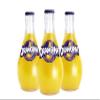 Orangina Bulby 250ml Case of 12 view 2
