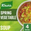 Knorr Florida Spring Vegetable Dry Packet Soup no artificial colours or preservatives soup mix suitable for vegans and vegetarians 48 g (Packaging may vary) view 2