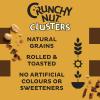 Kellogg's Crunchy Nut Chocolate Clusters, 450g view 3
