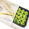 Ghasitaram Gifts Indian Sweets - Pure Pista Modak 400 GMS view 2
