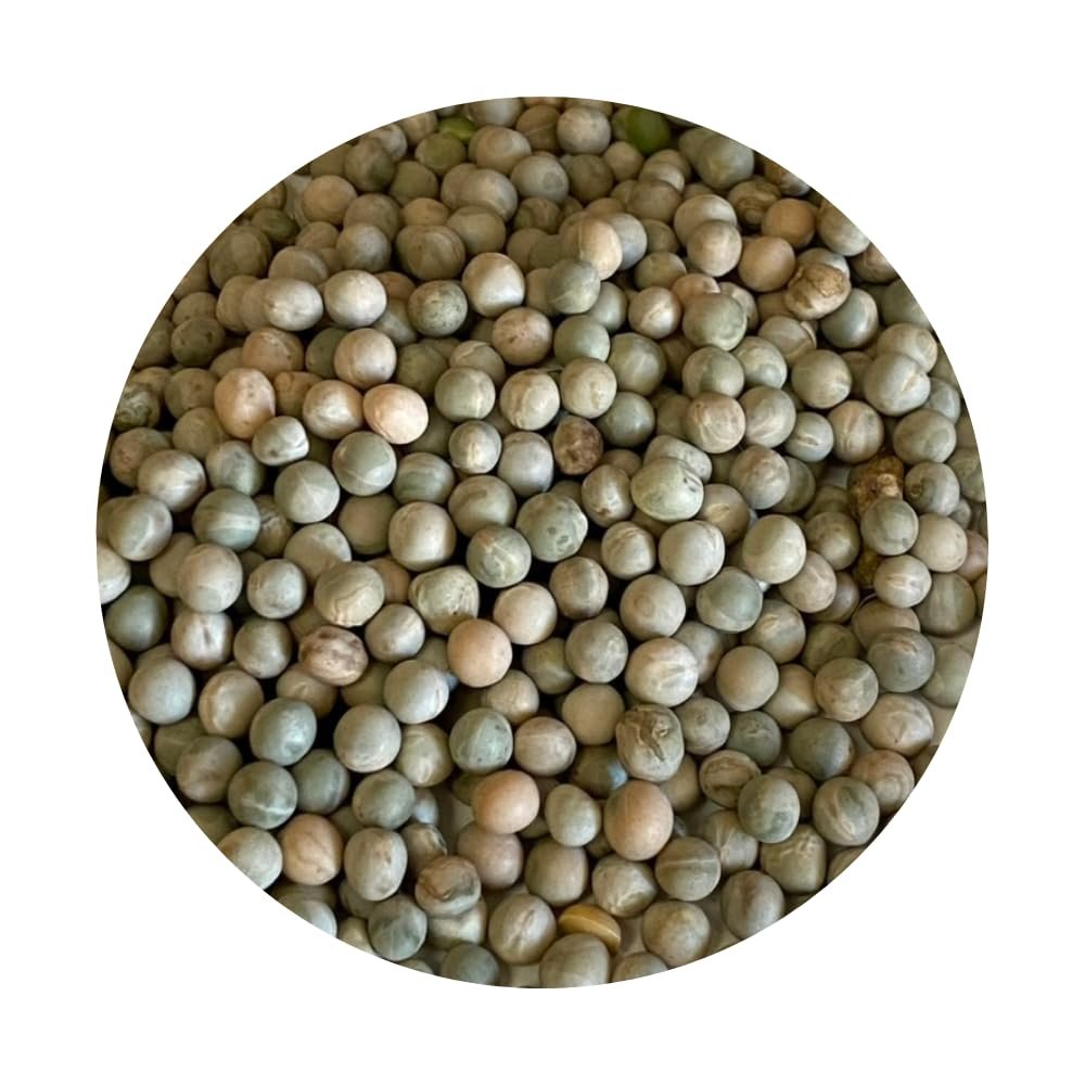 Sprouting Peas | Grow Your Own Fresh Pea Shoots for Salads, Stir-Fries & Garnish | 5kg in a 10L Bucket