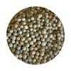 Sprouting Peas | Grow Your Own Fresh Pea Shoots for Salads, Stir-Fries & Garnish | 5kg in a 10L Bucket view 1