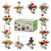 Tealyra - Blooming Flowering Tea Gift Box - 12 Variety Flavors of Finest Blooming Green Teas - 12 Quality Tea Balls Individually Sealed view 1