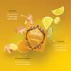 (3 PACK) - Pukka Herbs - Lemon Ginger & a Touch of Manuka Honey Tea | 20 sachet | 3 PACK BUNDLE (Packaging May Vary) view 4