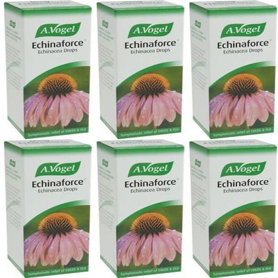 (6 PACK) - A Vogel - Echinaforce Drops | 100ml | 6 PACK BUNDLE