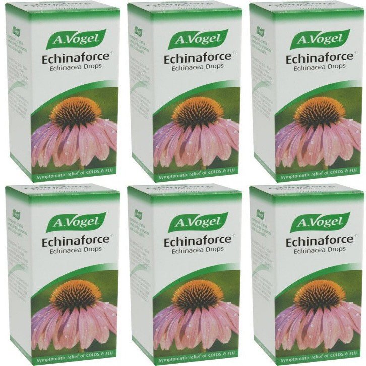 (6 PACK) - A Vogel - Echinaforce Drops | 100ml | 6 PACK BUNDLE