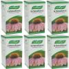 (6 PACK) - A Vogel - Echinaforce Drops | 100ml | 6 PACK BUNDLE view 1