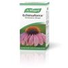 (2 Pack) - A Vogel - Echinaforce Drops | 100ml | 2 PACK BUNDLE view 1