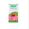 (4 PACK) - A Vogel - Echinaforce Drops | 100ml | 4 PACK BUNDLE view 1