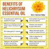 100% Pure Helichrysum - Pure Essential Oil - Everlasting 10ml with Anti-Tamper lid view 1
