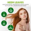 Davis Finest - Neem Leaf Powder, 100g - Organic Hair & Skin Care - Anti-Fungal, Anti-Dandruff, Anti-Itch - Ayurvedic Herbal Powder for Hair Growth, Face & Body Masks - Natural, Vegan & Chemical-Free view 3