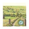 Yorkshire Tea Bags, 240 each view 4