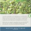 Natur Boutique Garcinia Cambogia Tea 20 Sachets, Pack of 1 view 3